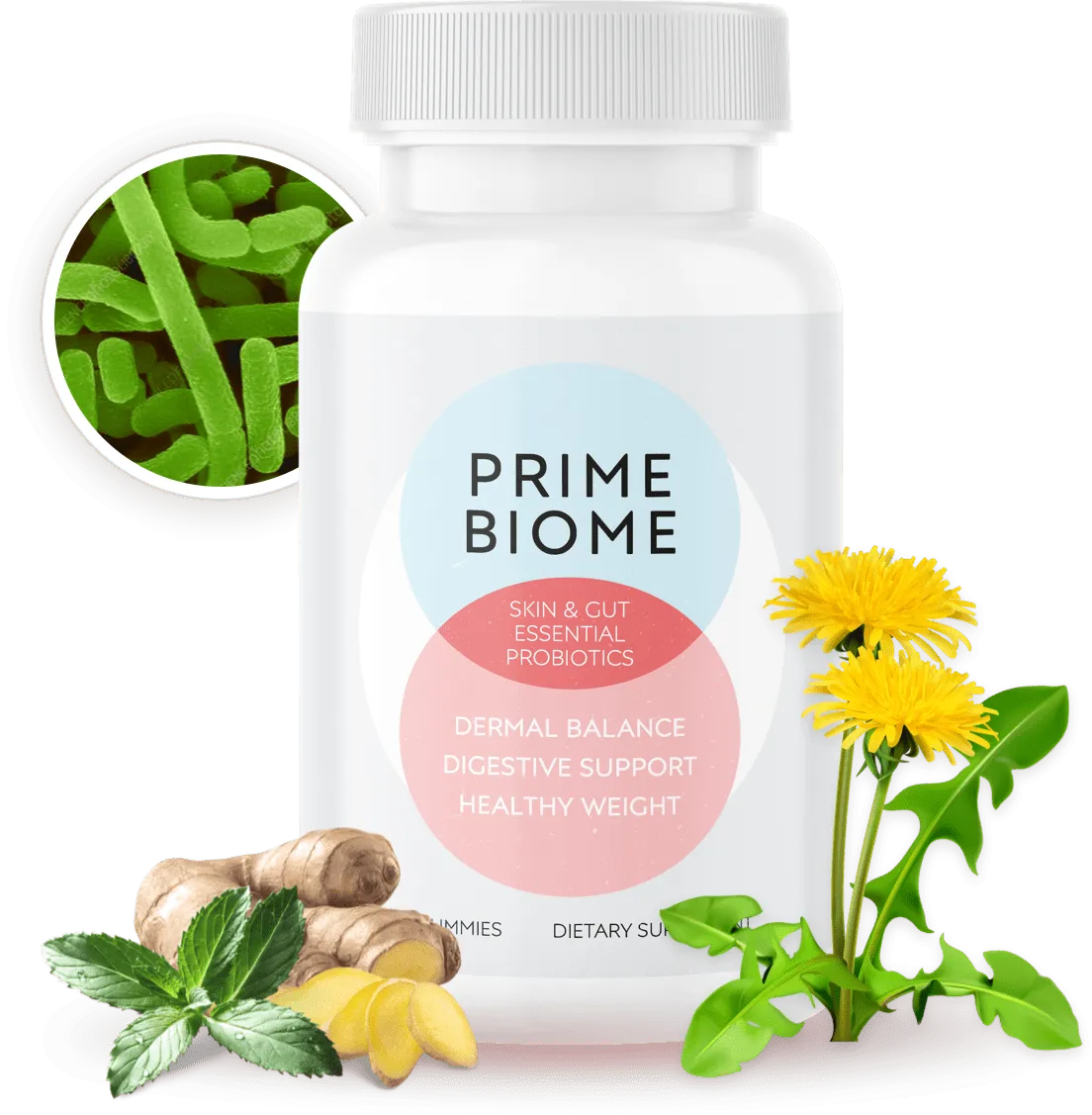 PrimeBiome probiotic gummy supplement bottle